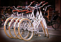 Повече за  градски велосипеди 4