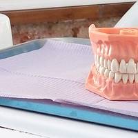 Изберете нашите  Dental Implants Bulgaria 11