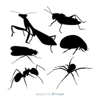 Повече за борбата против мравки 11