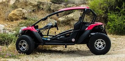 Off Road Buggy - 46534 varieties