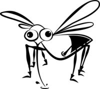 Insektenschutztür - 48807 Kombinationen