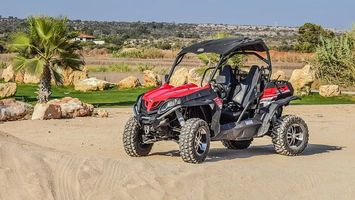 Rent A Buggy - 43738 customers