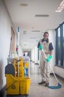 Carpet Stain Removal London - 49458 news