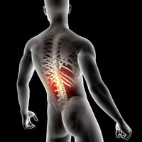 болка в гърба - 89196 комбинации
