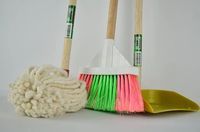 Domestic Cleaning Services - 76118 varieties