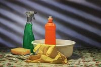 Regular Domestic Cleaning - 35527 varieties