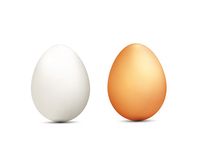 яйчни белтъци - 6621 предложения