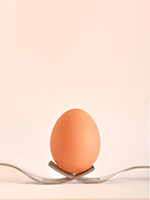 яйчен меланж - 97507 цени