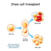 съхранение на стволови клетки - 57801 комбинации